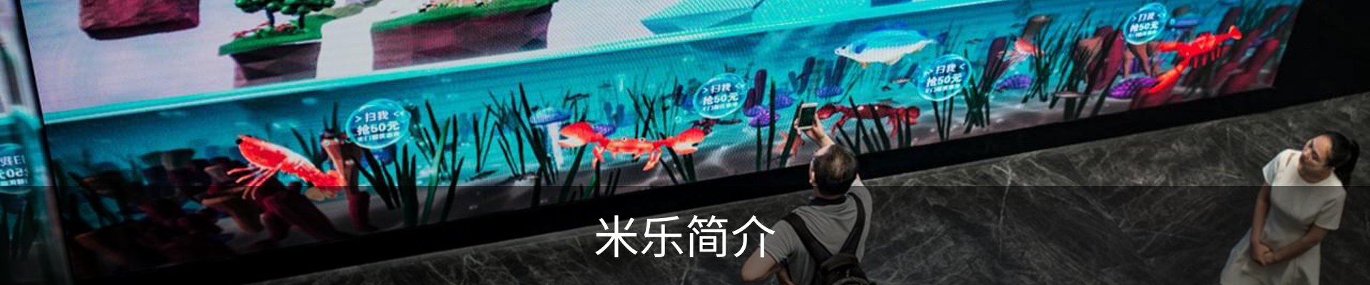 米乐简介